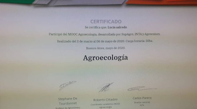 Consulta de nutricion