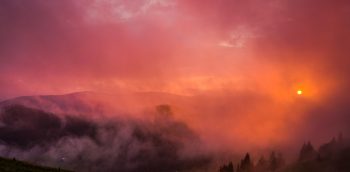 banner de usuario